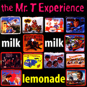 What Do You Want? by The Mr. T Experience