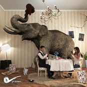 Elephant in the Room