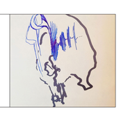 Roro Perrot Acousquantic Shitfolk