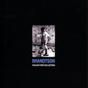Brandtson - Long Walk Home