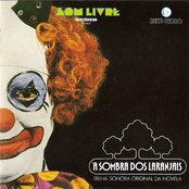 À Sombra dos Laranjais