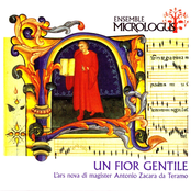 Un Fior Gentile
