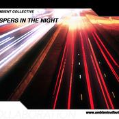 The Ambient Collective: Whispers in the Night