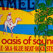 camel & the oasis of reggae