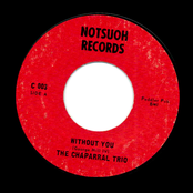 Without You / Roxanne