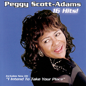 Your Divorce Has Been Denied by Peggy Scott-adams