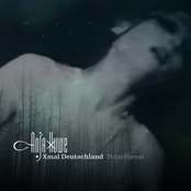 Anja Huwe: PolarForest