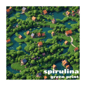 spirulina