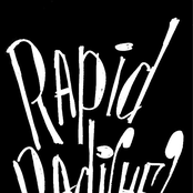 rapid radishes