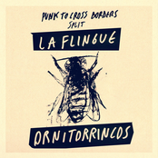 Punk to Cross Borders