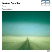 Jérôme Combier: Gone