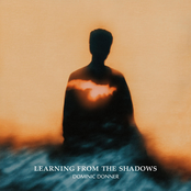 learning from the shadows