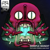 Ruptured Cosmos / Bass Shop