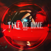 Take Me Home