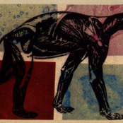 Fuck The Dog (Horny Sorrow)