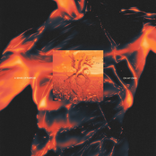 A Sense Of Purpose: On My Own