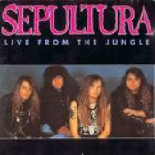 Protest And Survive by Sepultura