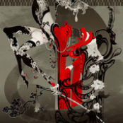 Spine - Single