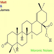Matt & James' Moronic Noises