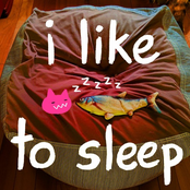 i like to sleep