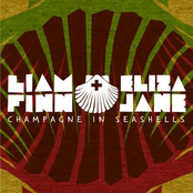 Won't Change My Mind by Liam Finn + Eliza Jane