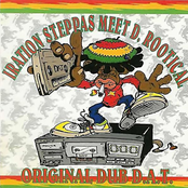 Reminiscence Dub by Iration Steppas Meet D. Rootical