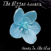 They Haunt Me Still by The Bigger Lovers