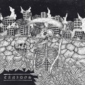 Cánidos / Animals Revenge