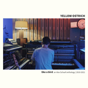 Yellow Ostrich: Like a Bird: An Alex Schaaf Anthology (2010-2021)