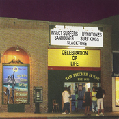 Slacktone: Celebration of life