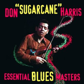 Essential Blues Masters