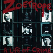 Promiscuity by Zoetrope