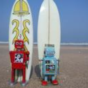 the surfin robots