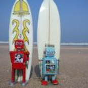 The Surfin Robots