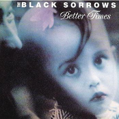 Storm Wind by The Black Sorrows