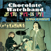 The Chocolate Watchband: At the Love-In Live!