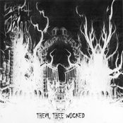 Them, Thee Wicked