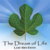 Believe In Me by Lori Mechem