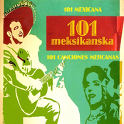 101 meksikanska