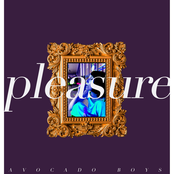 pleasure