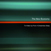 To Wake Up From A Dreamless Sleep