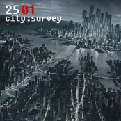 city:survey