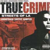 True Crime: Streets of L.A.