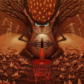 Imipolex: Acts of Vulgar Piety