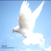 The Ark Was Built By Amateurs