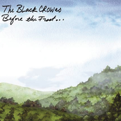 So Many Times by The Black Crowes