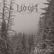 Asaheim