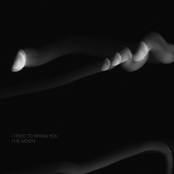 I tried to bring you the moon