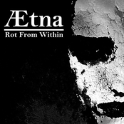 Rot From Within