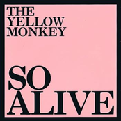 悲しきasian Boy by The Yellow Monkey
